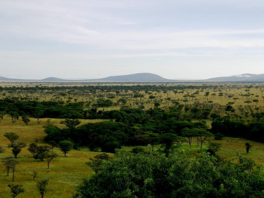Mbalageti Serengeti Exterior foto