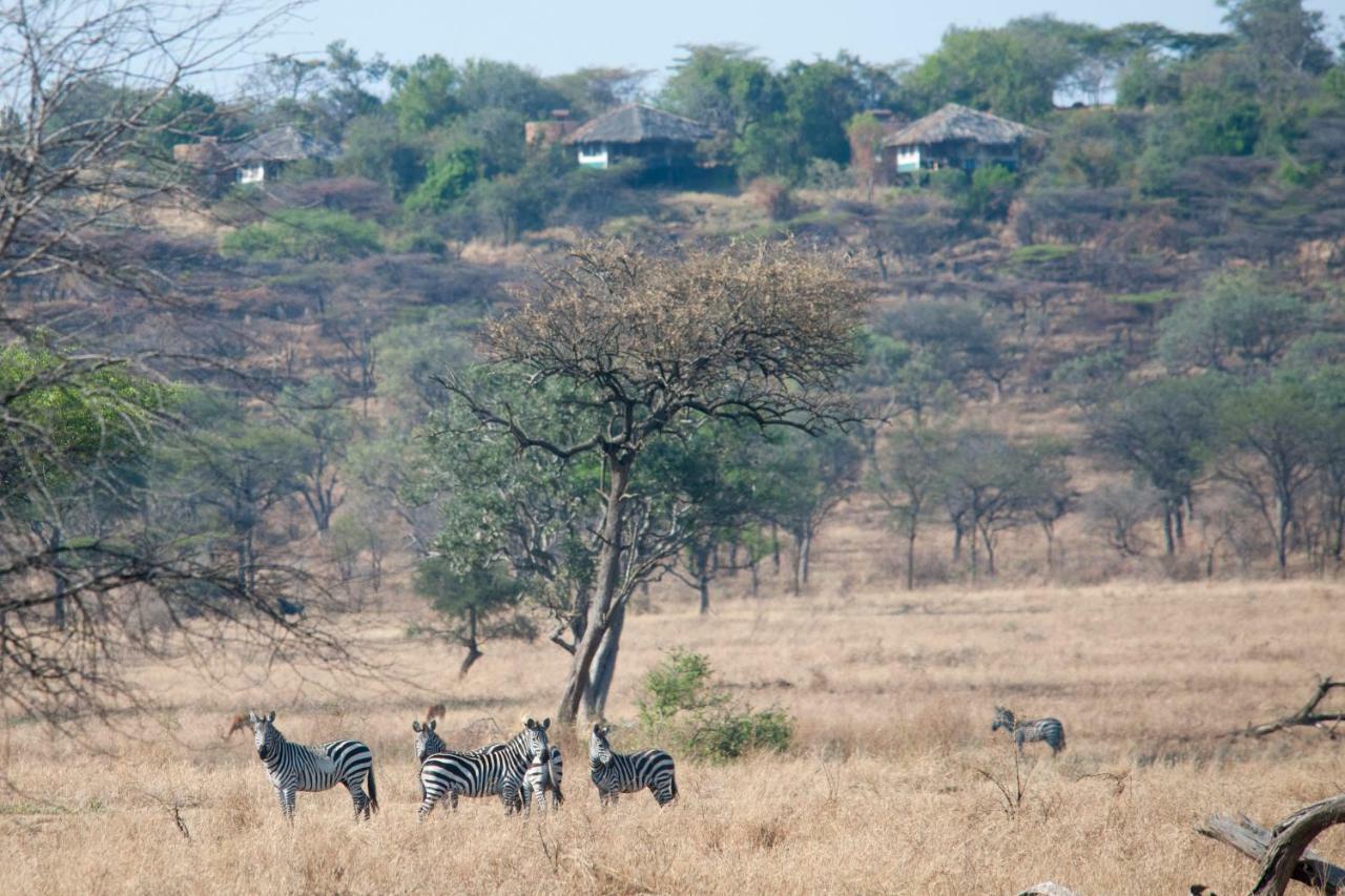 Mbalageti Serengeti Exterior foto